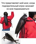 Ф (2).jpg