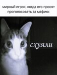 Ф (3).jpg