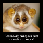 кристик (2).png