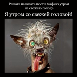 кристик (1).png