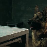 Пёс